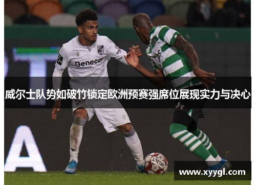威尔士队势如破竹锁定欧洲预赛强席位展现实力与决心