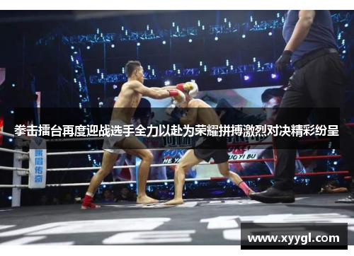 拳击擂台再度迎战选手全力以赴为荣耀拼搏激烈对决精彩纷呈