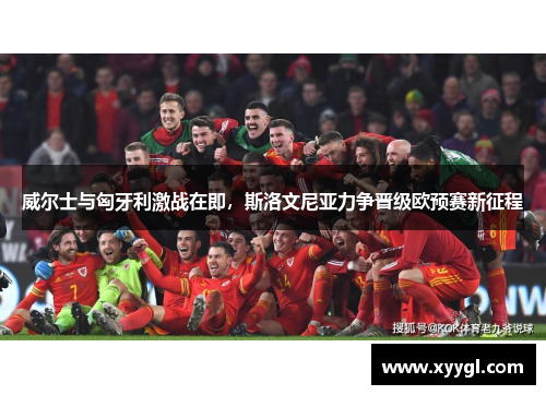 威尔士与匈牙利激战在即，斯洛文尼亚力争晋级欧预赛新征程
