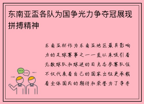 东南亚盃各队为国争光力争夺冠展现拼搏精神