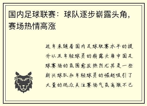 国内足球联赛：球队逐步崭露头角，赛场热情高涨