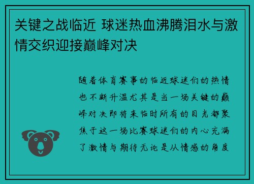 关键之战临近 球迷热血沸腾泪水与激情交织迎接巅峰对决